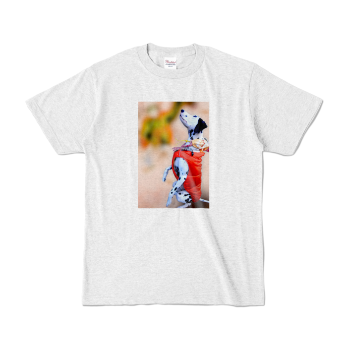 カラーTシャツ - S - アッシュ (淡色)