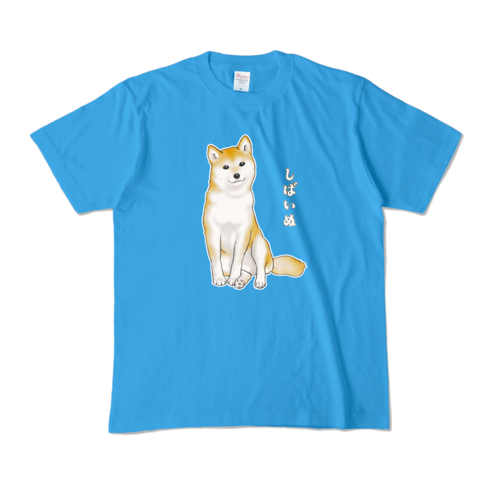 カラーTシャツ - M - ターコイズ (濃色) / Size M, Turquoise