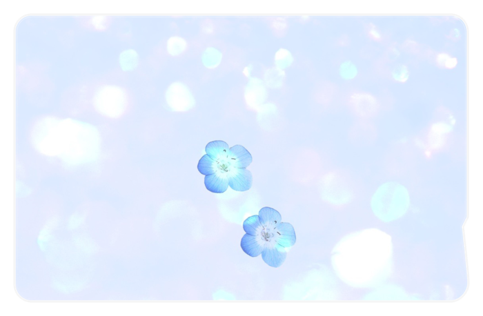 ICカードステッカー - 約85.7x53.9(mm)