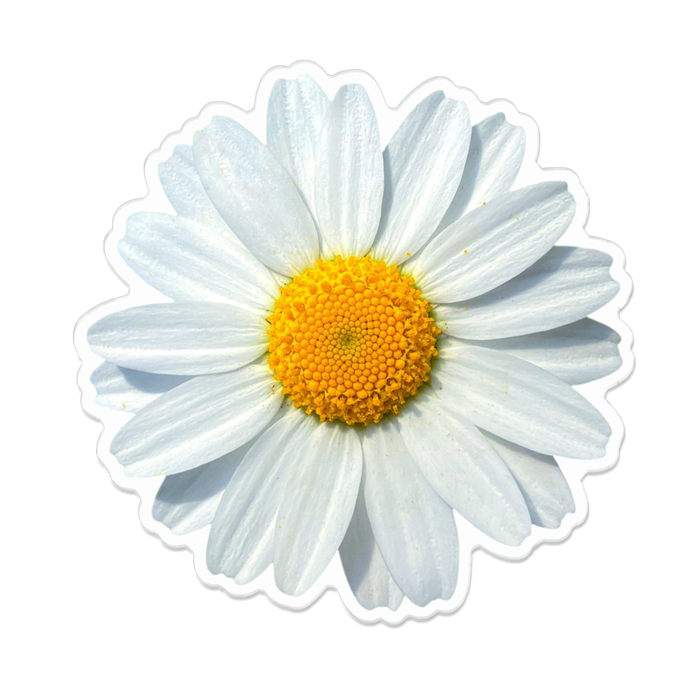 アクリルバッジ - 100 x 100 (mm)