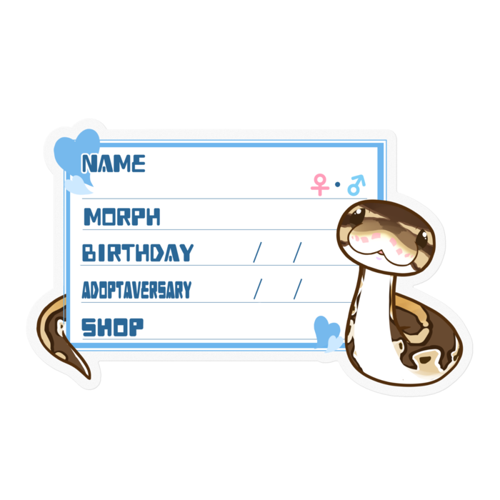 【🐍お名前ステッカー】ボールパイソン(ノーマルミニ) ‐ハート/ブルー(英語)
