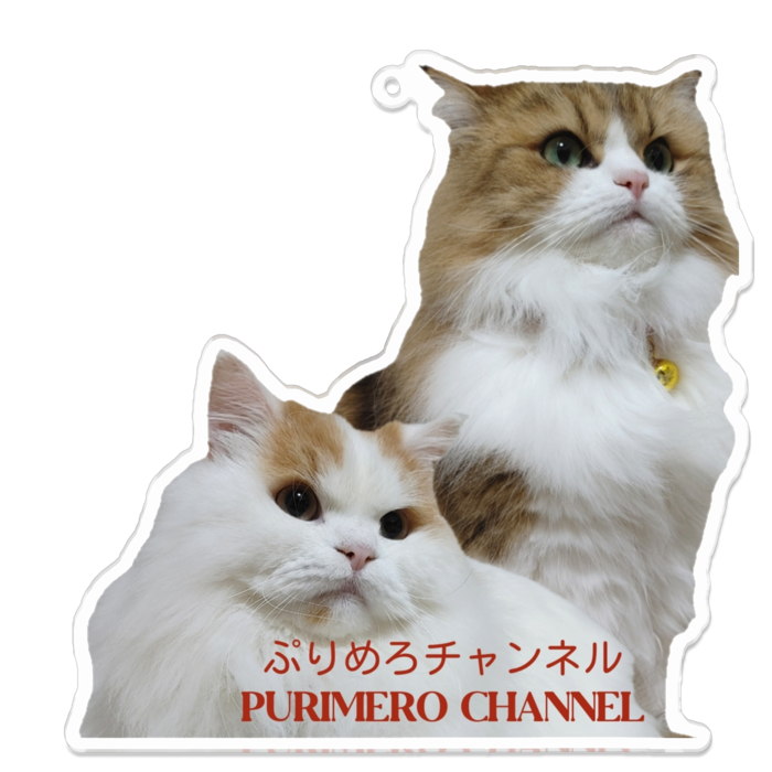 アクリルキーホルダー（コーティング） - 100 x 100 (mm)