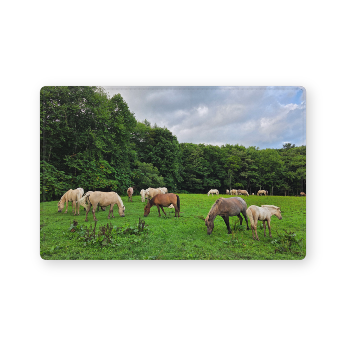 レザー製名刺入れ - 102 x 72 (mm)