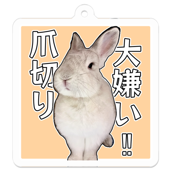アクリルキーホルダー - 50 x 50 (mm)