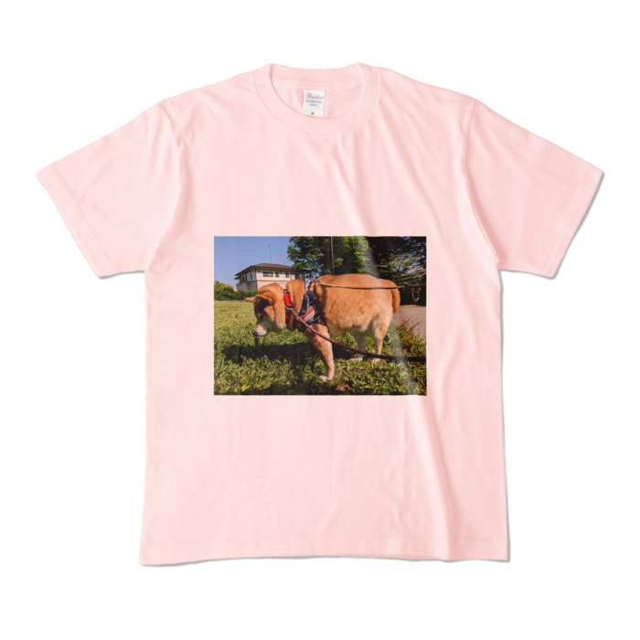 カラーTシャツ - M - ライトピンク (淡色)