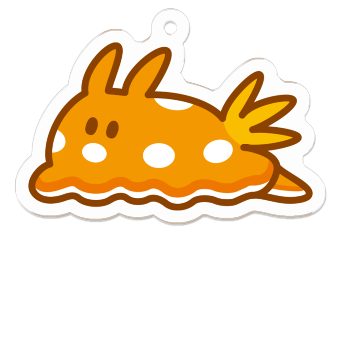 チギレユキイロウミウシ