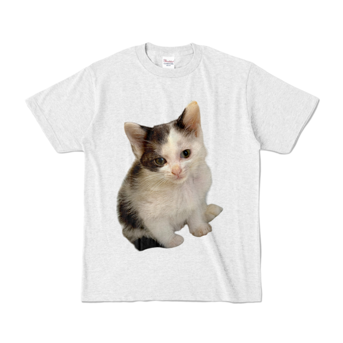 カラーTシャツ - S - アッシュ (淡色)