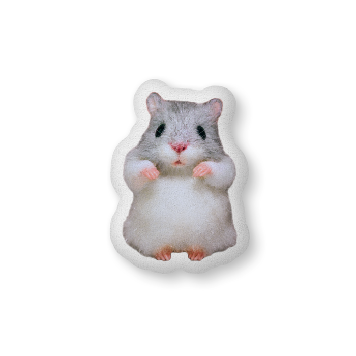 ふかふかクッション - 中（H56×W36cm） - 両面