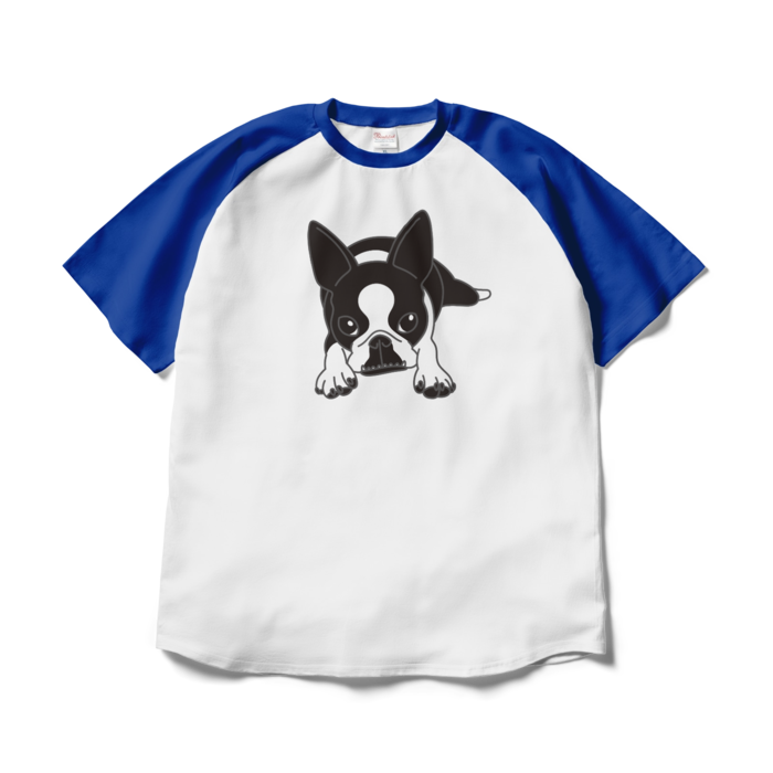 ラグランTシャツ - XL - ホワイト×ロイヤルブルー