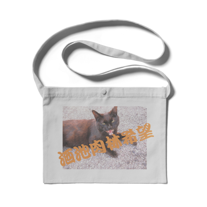 サコッシュ - 300 x 230 (mm)