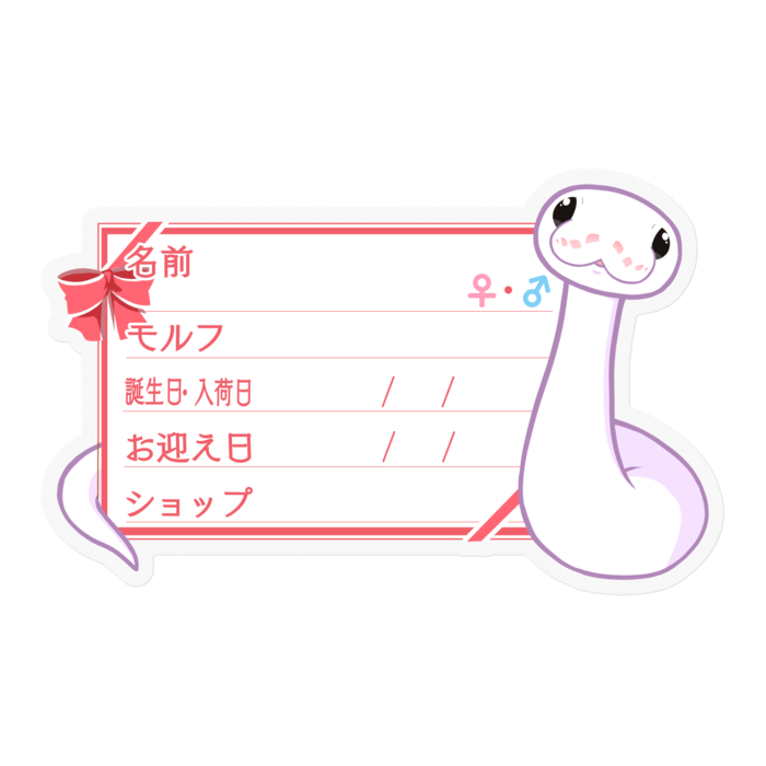 【🐍お名前ステッカー】ボールパイソン(スーパーファイア) ‐リボン/ピンク