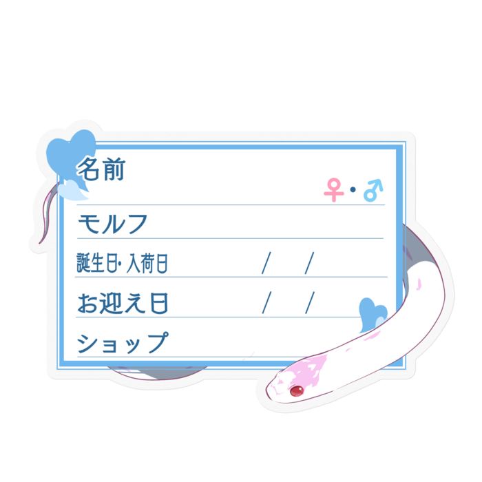 【🐍お名前ステッカー】カリキン(アルビノハイホワイト) ‐ハート／ブルー