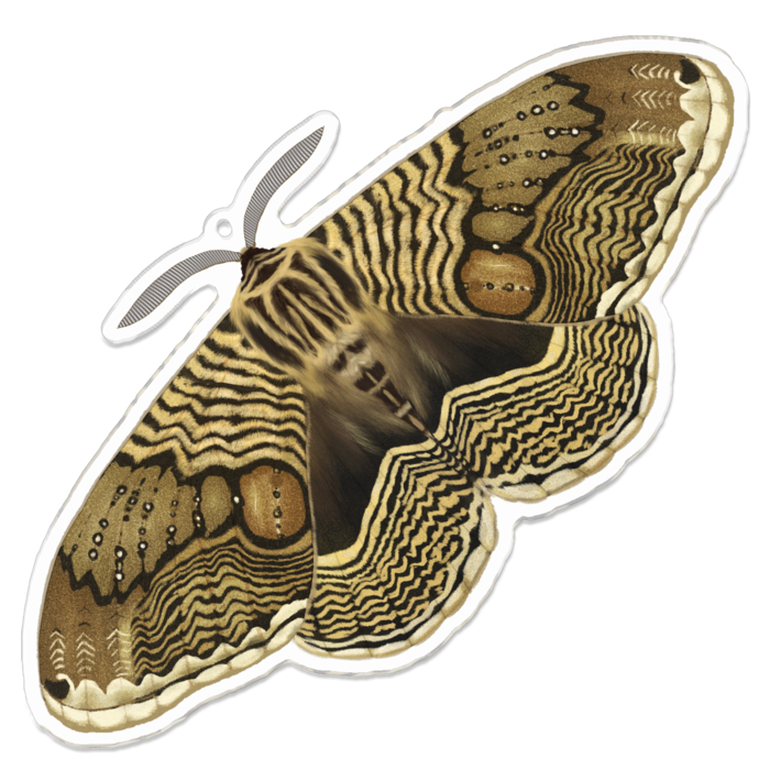 アクリルキーホルダー - 100 x 100 (mm)