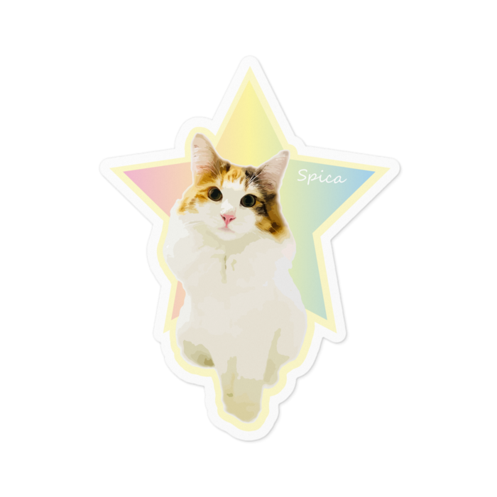 ステッカー - 100 x 100 (mm)