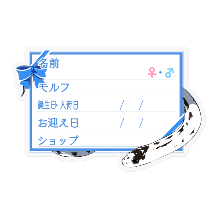 【🐍お名前ステッカー】カリキン(ハイホワイト) ‐リボン／ブルー