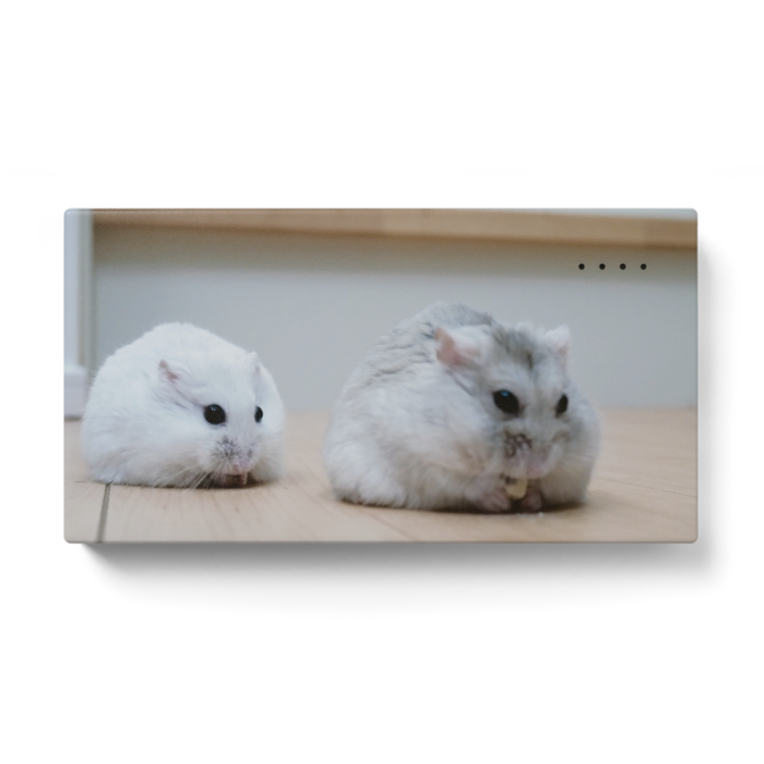 モバイルバッテリー - 123 x 65 (mm)