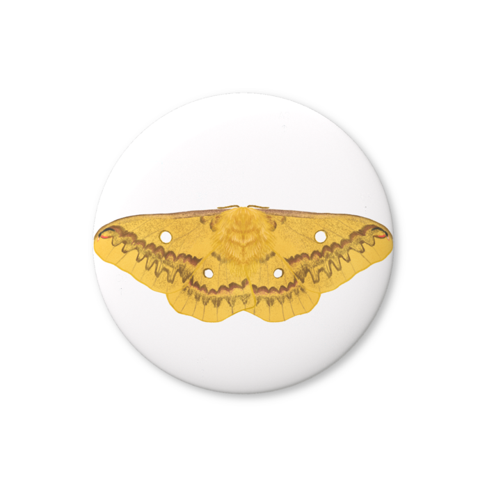 缶バッジ（バリュー） - 44mm