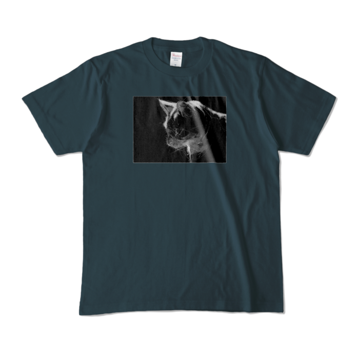 カラーTシャツ - M - デニム (濃色)