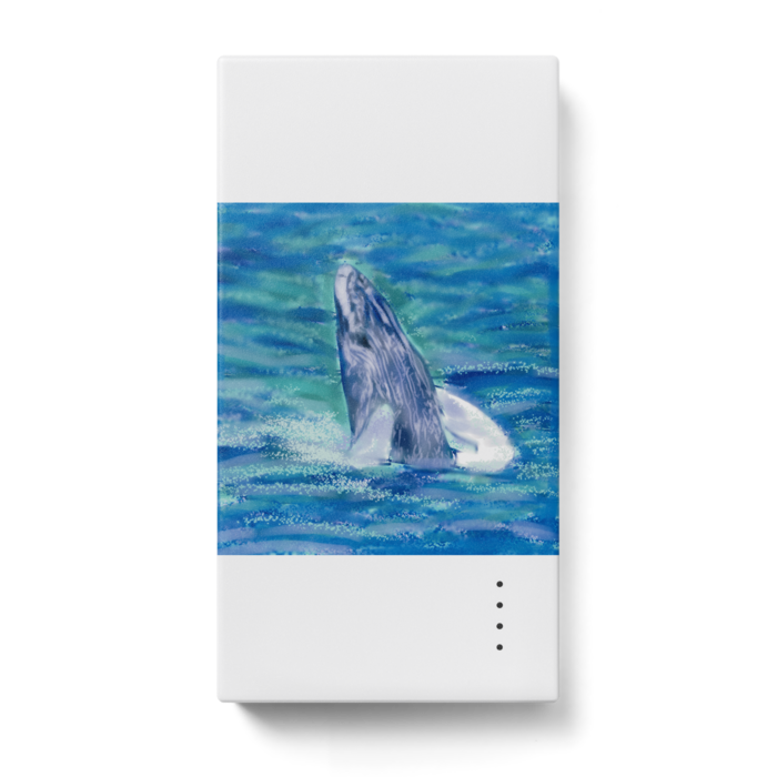 モバイルバッテリー - 123 x 65 (mm)