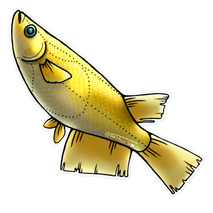 ヒカリ　ー　クリア／160 x 160㍉