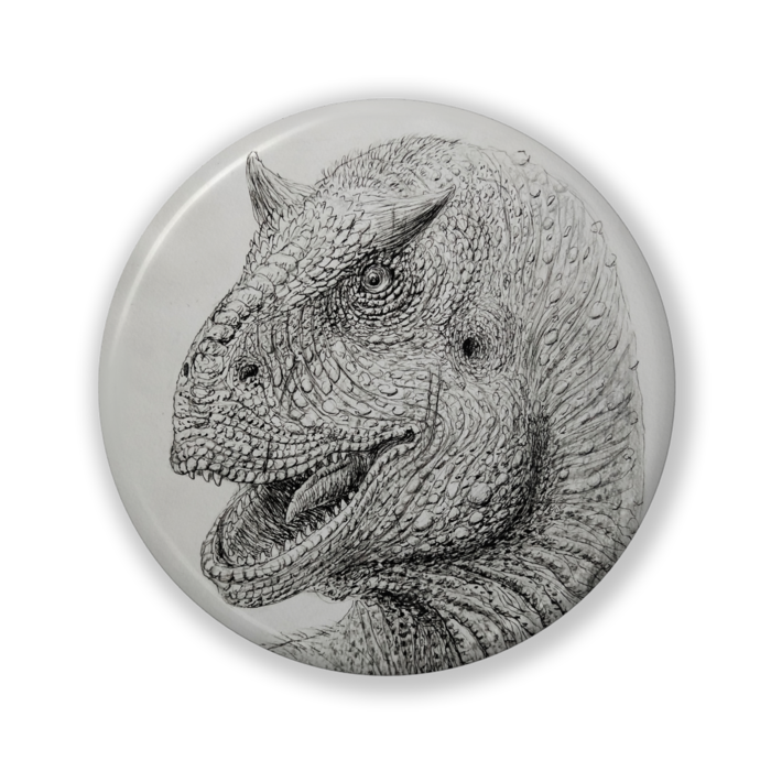 缶バッジ（バリュー） - 32mm