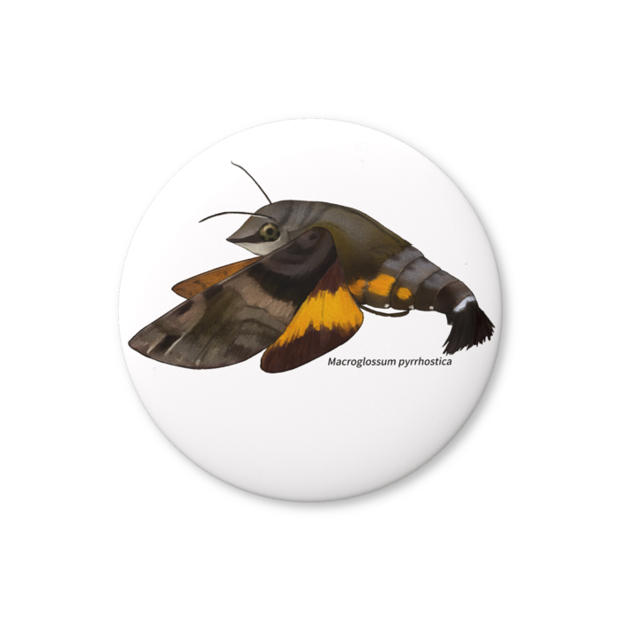 缶バッジ（バリュー） - 56mm