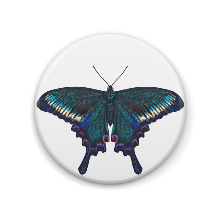 缶バッジ - 57mm(1)