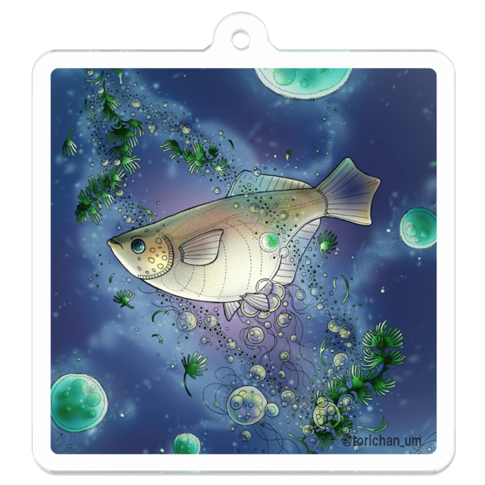 青　ー　50 x 50㍉／コーティングあり