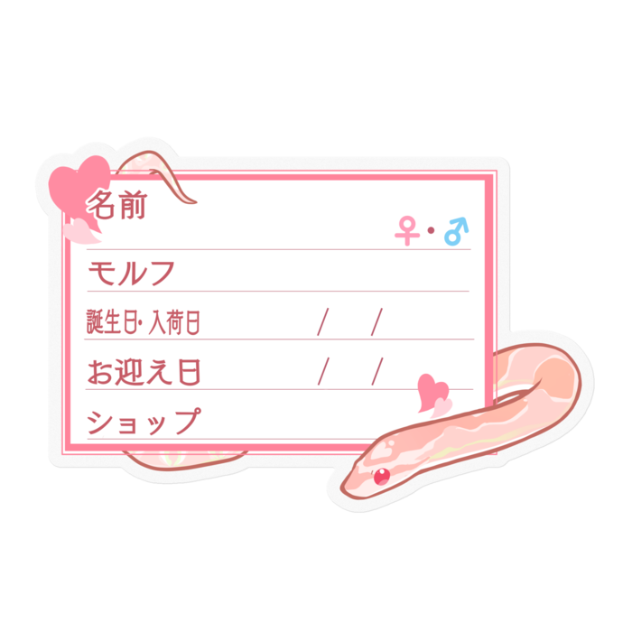 【🐍お名前ステッカー】コーンスネーク(サーモンスノー) - ハート／ピンク