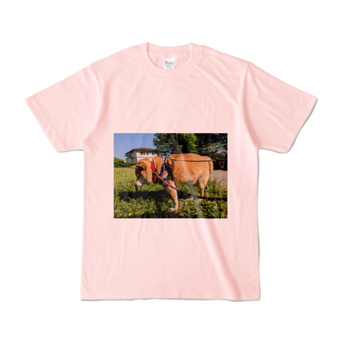 カラーTシャツ - S - ライトピンク (淡色)