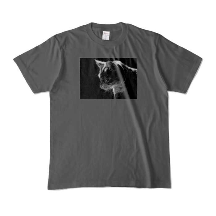 カラーTシャツ - M - チャコール (濃色)