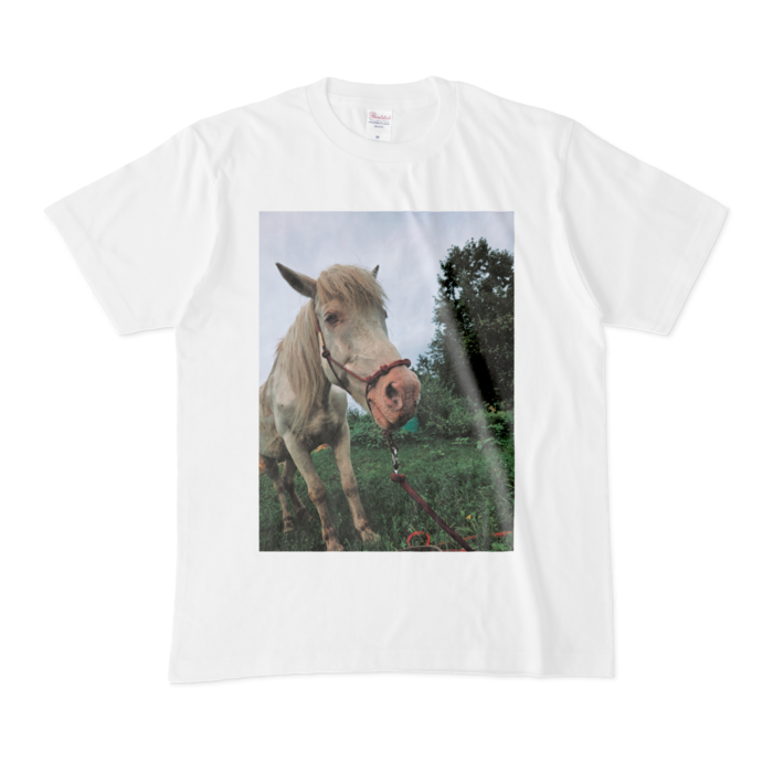 Tシャツ - M - 白