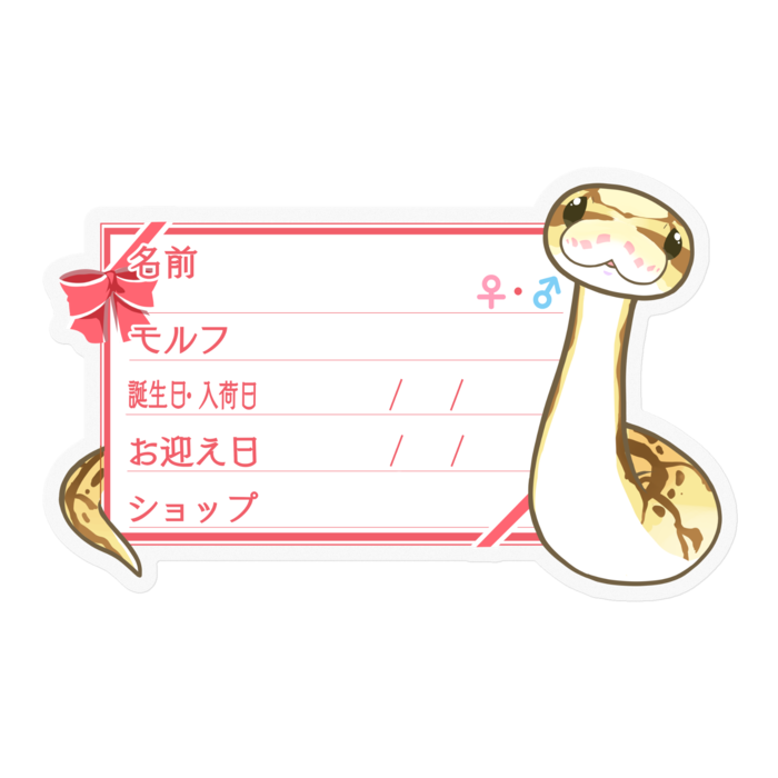 【🐍お名前ステッカー】ボールパイソン(クイーンビー) ‐リボン／ピンク