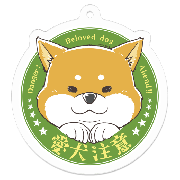 S（約50 x 50 mm）