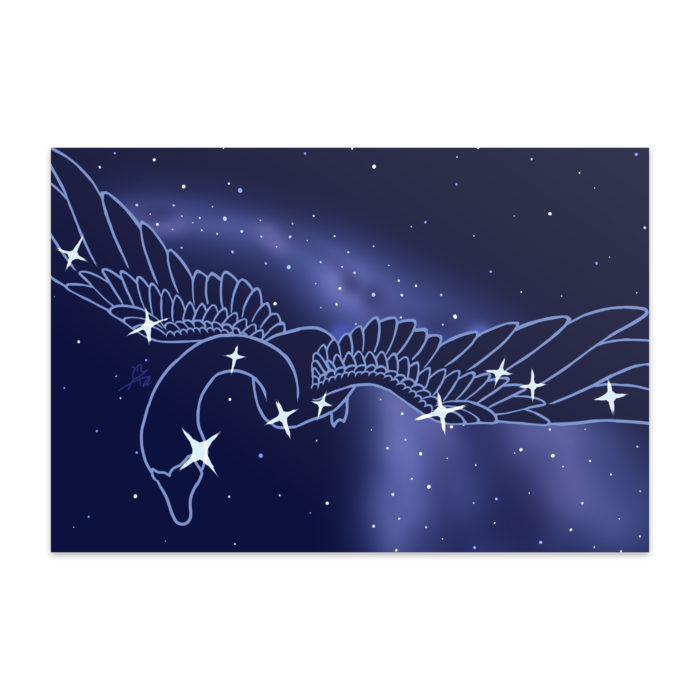 ポストカード(10枚セット) - ヴァンヌーボVGスノーホワイト195kg