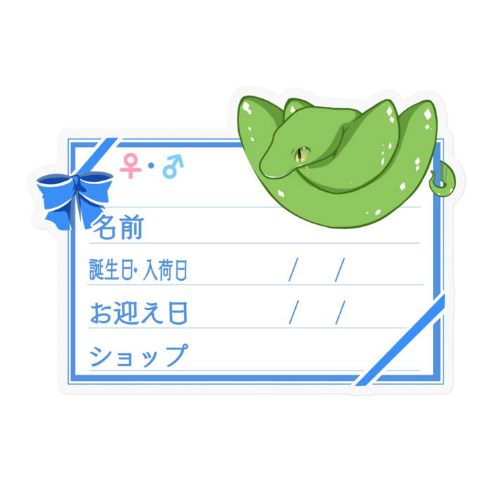【🐍お名前ステッカー】グリンパイ(アルー) ‐リボン/ブルー