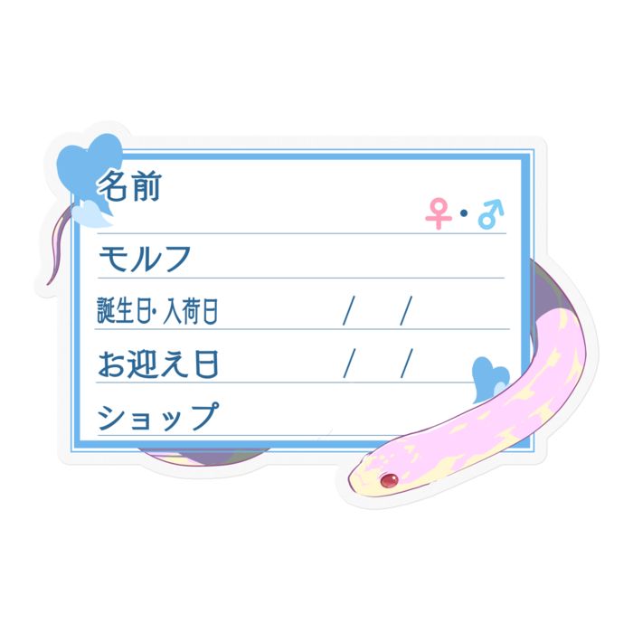 【🐍お名前ステッカー】カリキン(アルビノアベラント) ‐ハート/ブルー