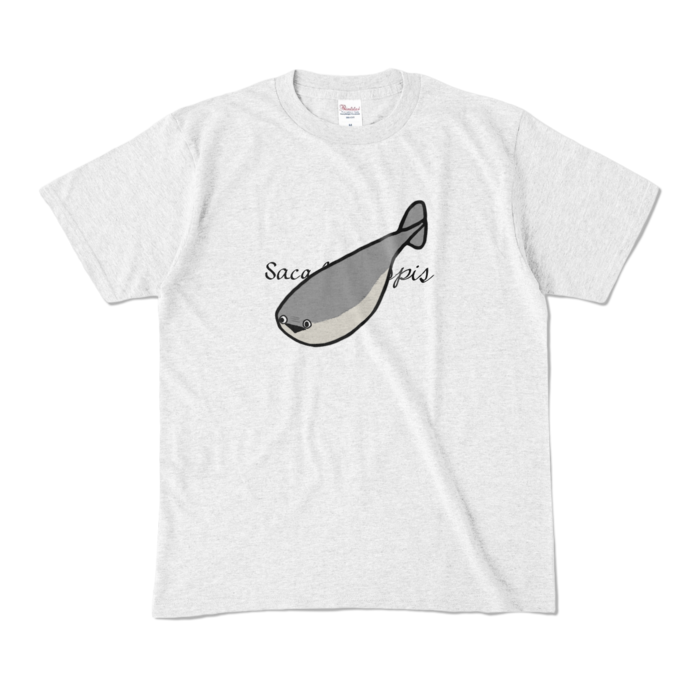 カラーTシャツ - M - アッシュ (淡色)