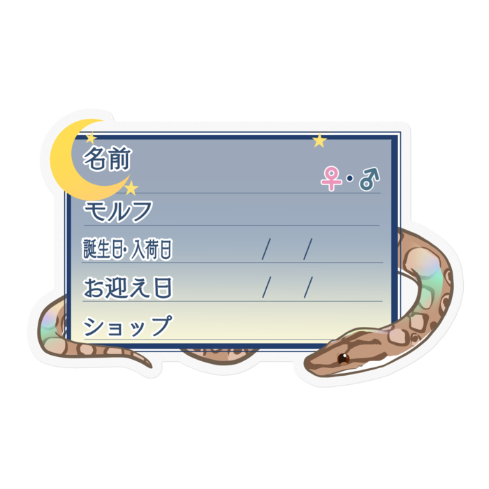 【🐍お名前ステッカー】コロニジ(ノーマル) ‐夜