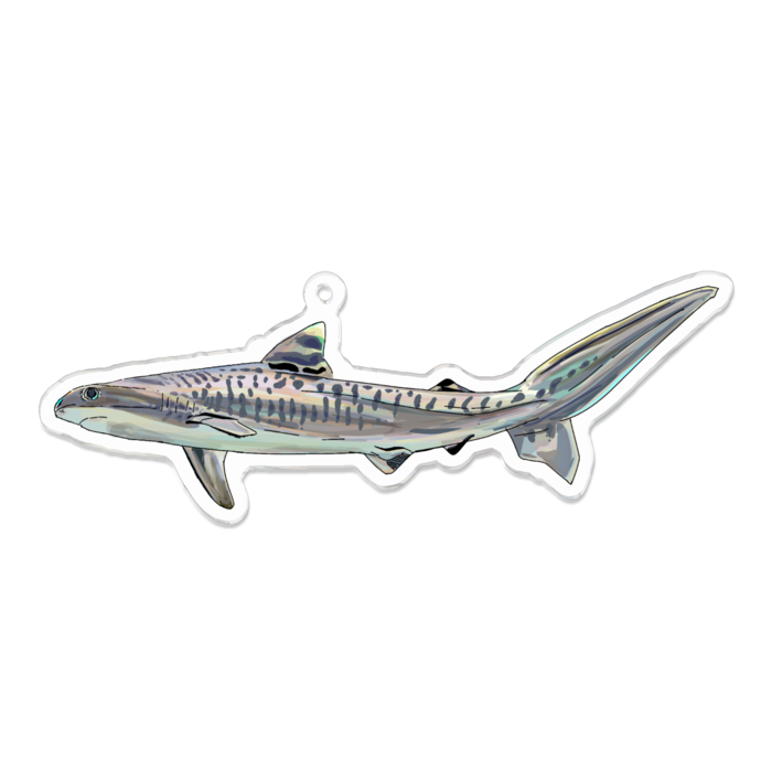 アクリルキーホルダー - 100 x 100 (mm)