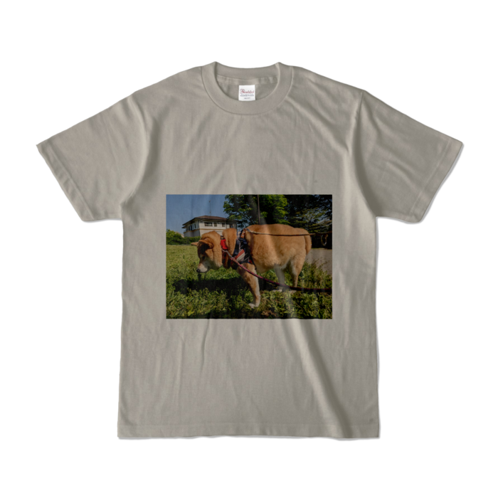 カラーTシャツ - S - シルバーグレー (淡色)