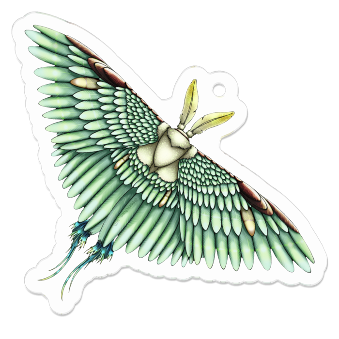 緑　ー　50 x 50 ㍉／コーティングあり