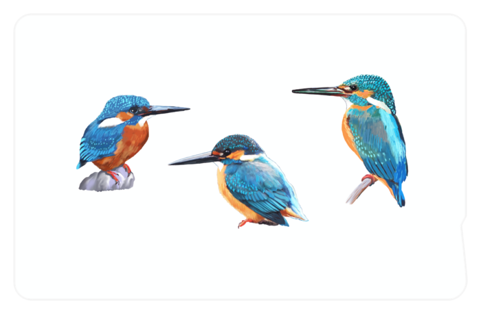 ICカードステッカー - 約85.7x53.9(mm)