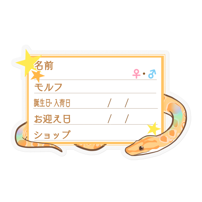 【🐍お名前ステッカー】ブラニジ(アルビノ) ‐星