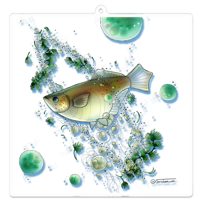 白　ー　100 x 100 ㍉／コーティングあり