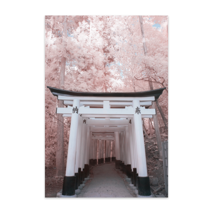 ポストカード(10枚セット) - 竹はだGA180kg