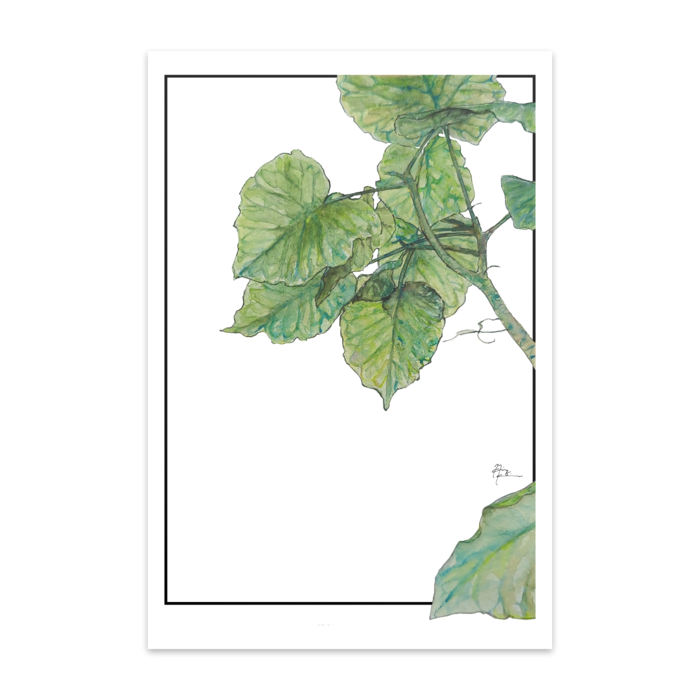 ポストカード(10枚セット) - マットコート220kg