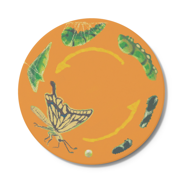 コースター - 円形