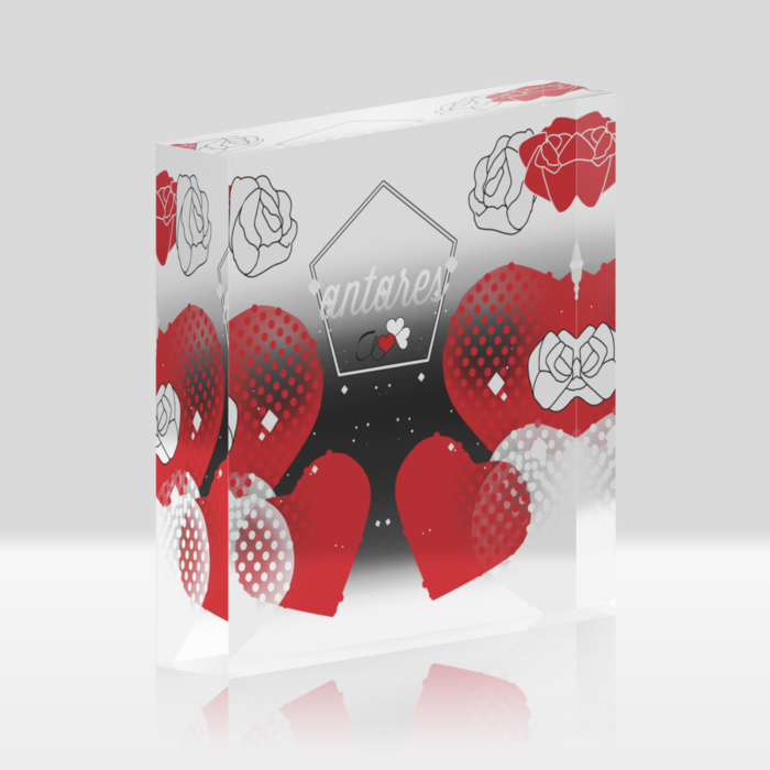 クリアタイプ100x100mm