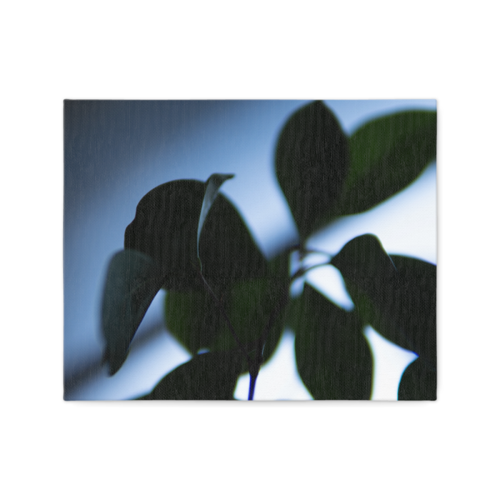 キャンバス - F3